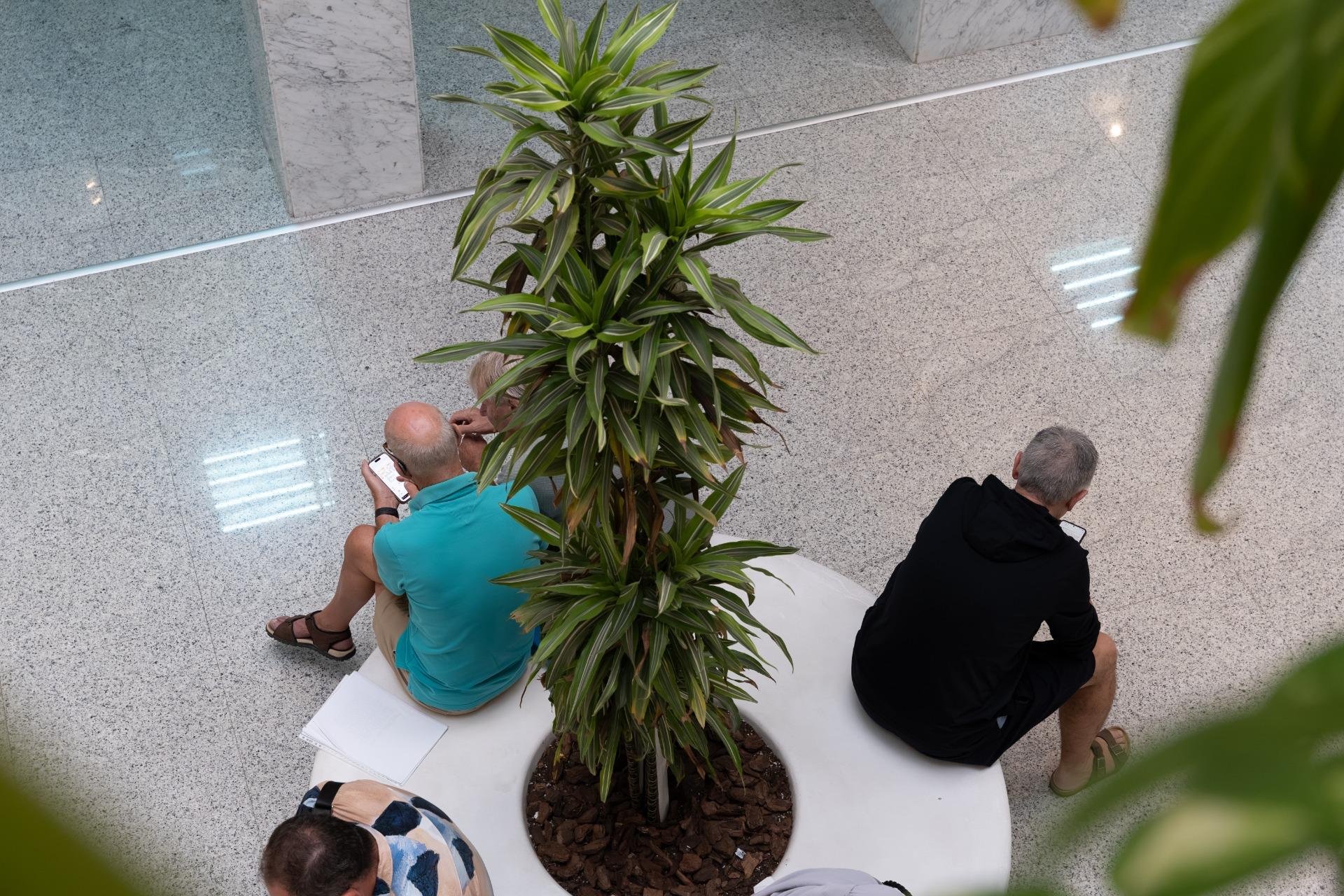 Alquiler a largo plazo - Comercial - Orihuela Costa - Playa Flamenca