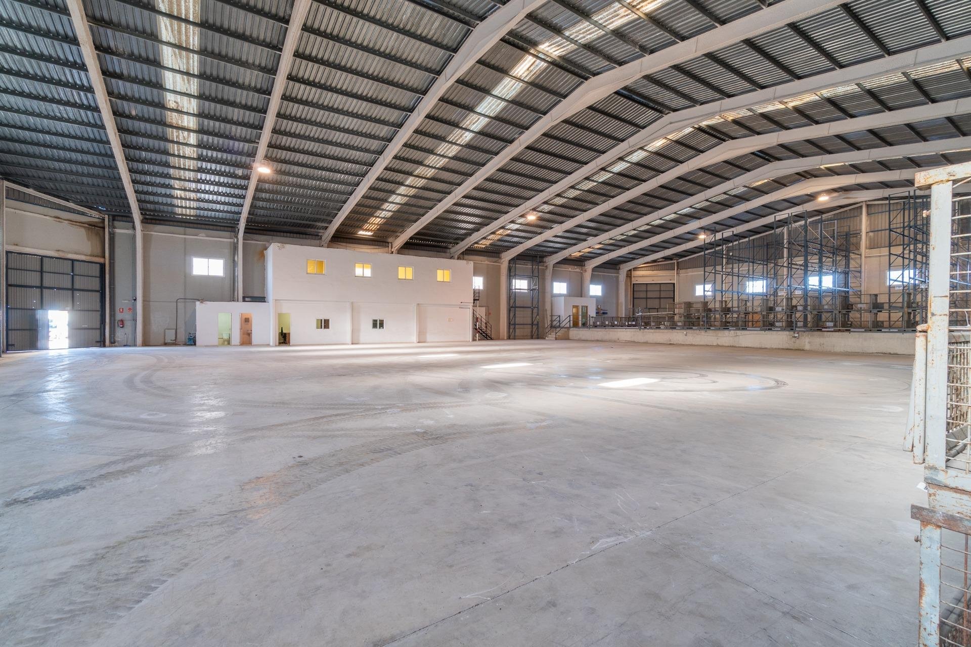 Alquiler a largo plazo - Comercial - Pilar de la Horadada - Polígono industrial Cañada de Práez