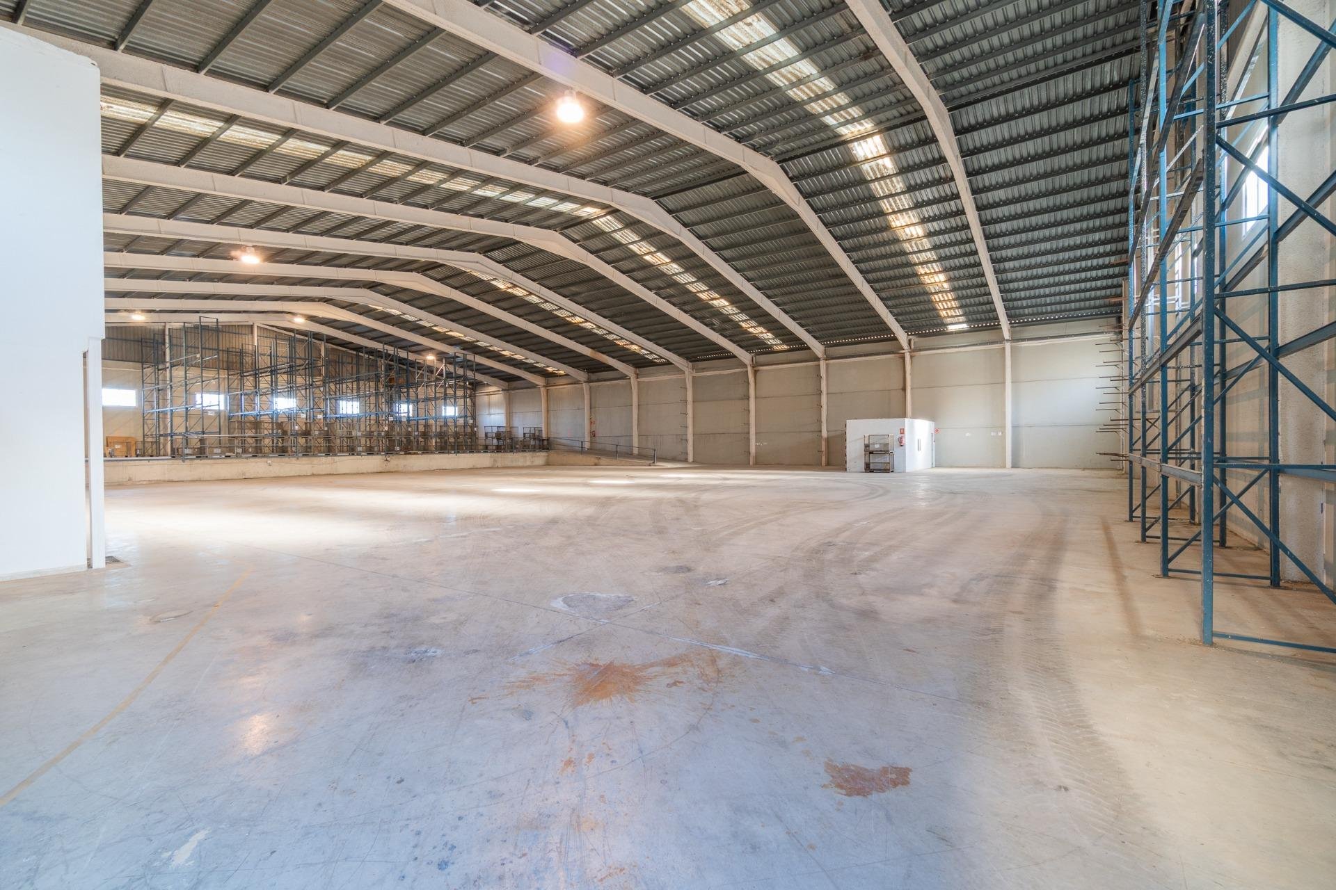 Alquiler a largo plazo - Comercial - Pilar de la Horadada - Polígono industrial Cañada de Práez