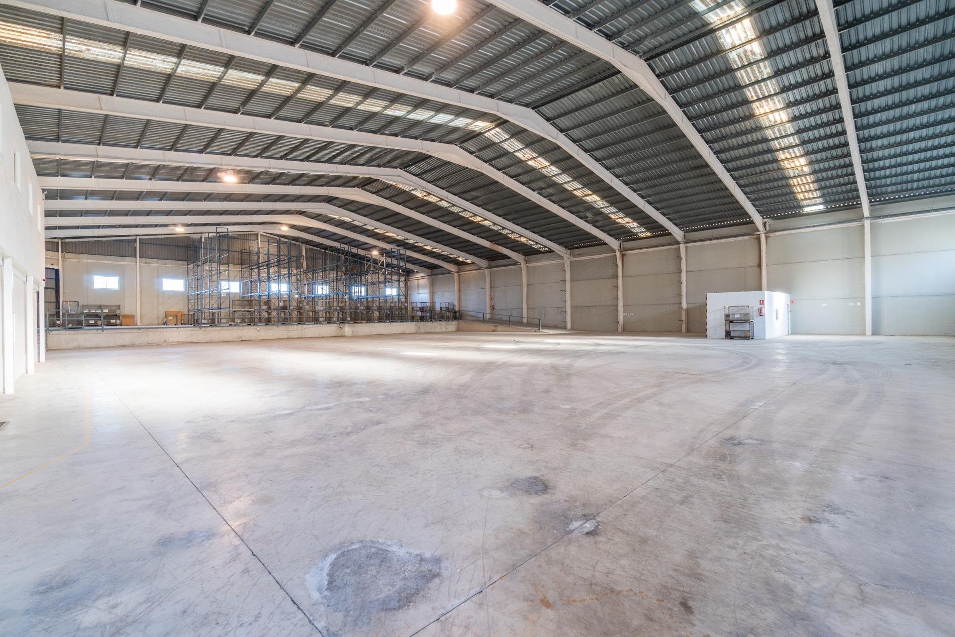 Alquiler a largo plazo - Comercial - Pilar de la Horadada - Polígono industrial Cañada de Práez