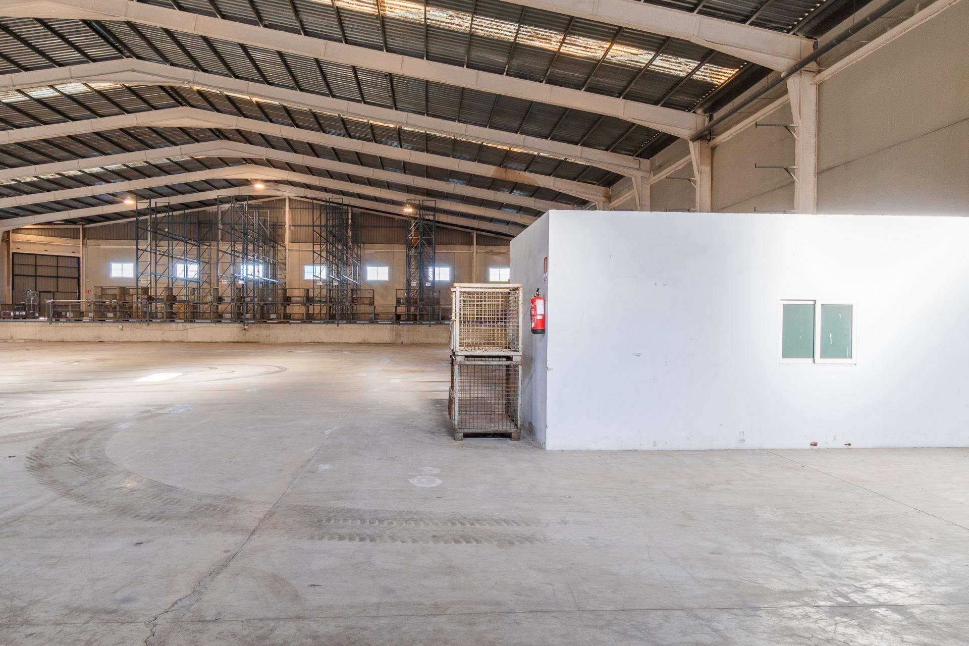 Alquiler a largo plazo - Comercial - Pilar de la Horadada - Polígono industrial Cañada de Práez