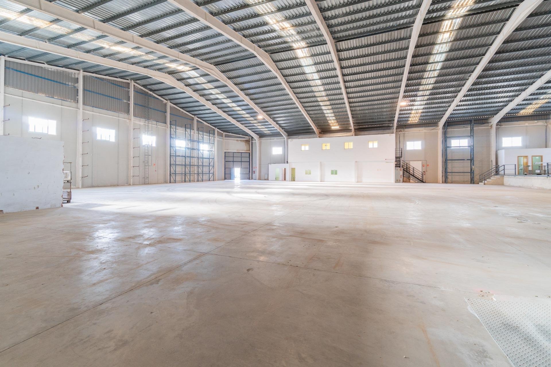 Alquiler a largo plazo - Comercial - Pilar de la Horadada - Polígono industrial Cañada de Práez