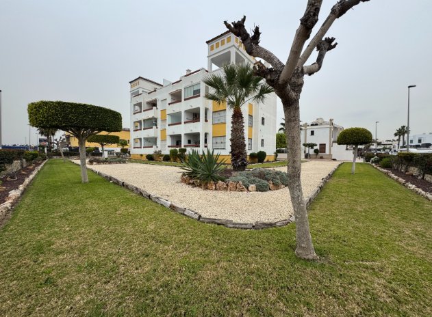 Apartamento / Piso - Reventa - Campoamor - Campoamor