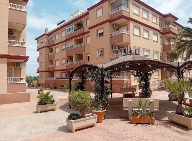 Apartment / Flat * - Resale - Algorfa - Algorfa *