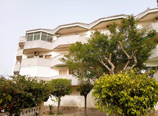 Apartment / Flat * - Resale - Orihuela Costa * - DSC-91789