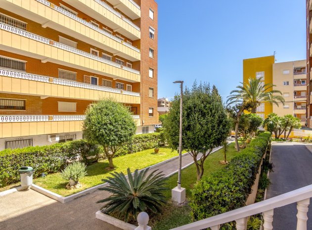 Appartement / flat - Herverkoop - Punta Prima - Punta Prima