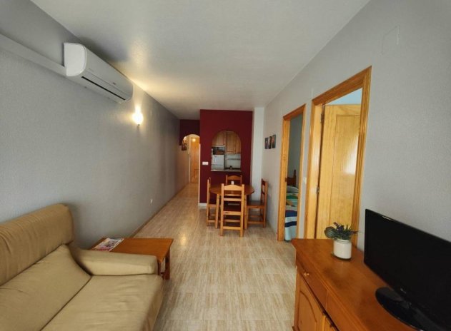 Appartement / flat - Herverkoop - Torrevieja - Estacion de autobuses