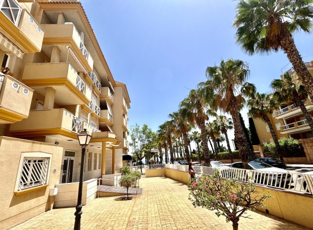 Appartement - Herverkoop - Cabo Roig - Cabo Roig