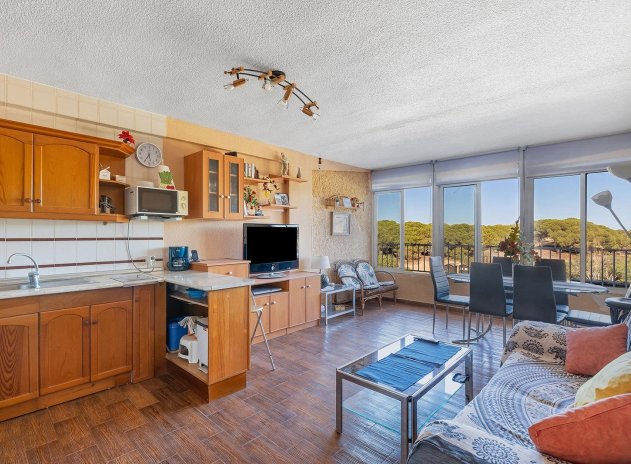 Appartement - Herverkoop - Guardamar del Segura - Guardamar del Segura