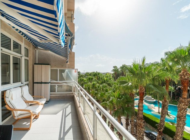 Appartement - Herverkoop - Orihuela Costa - Campoamor