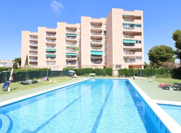 Appartement - Herverkoop - Orihuela Costa - La Zenia
