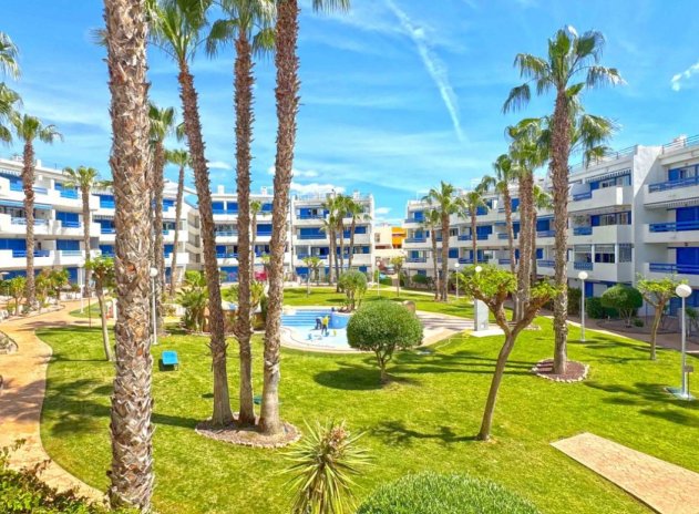 Appartement - Herverkoop - Orihuela Costa - Playa Flamenca