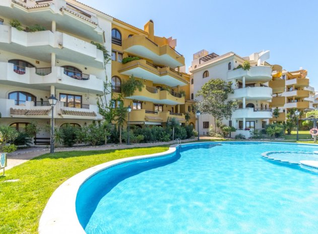 Appartement - Herverkoop - Punta Prima - Punta Prima