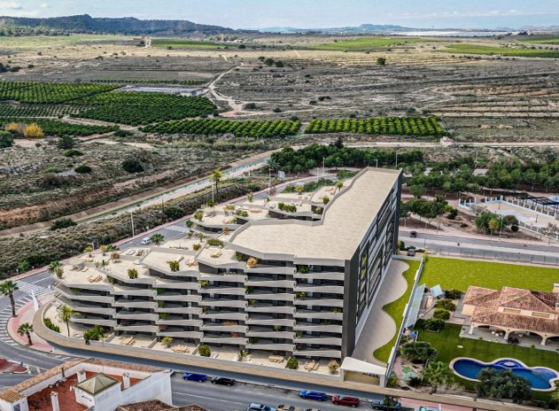 Appartement - Nouvelle construction - San Miguel de Salinas - San Miguel de Salinas