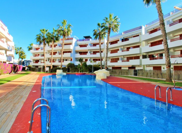 Appartement - Revente - Playa Flamenca - Playa Flamenca