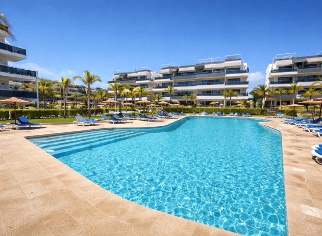 Appartement - Revente - Playa Flamenca - Playa Flamenca
