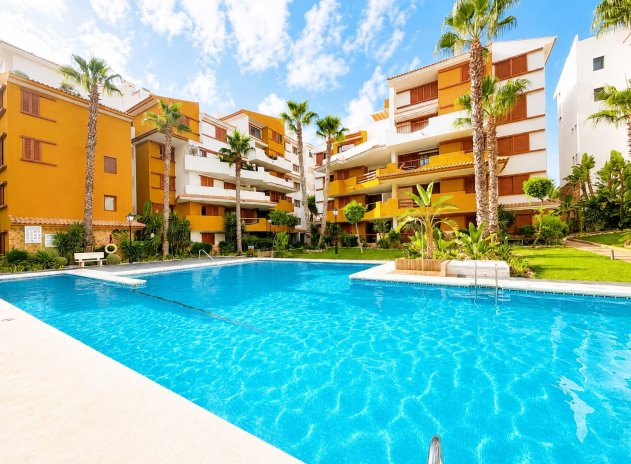 Appartement - Revente - Punta Prima - Punta Prima