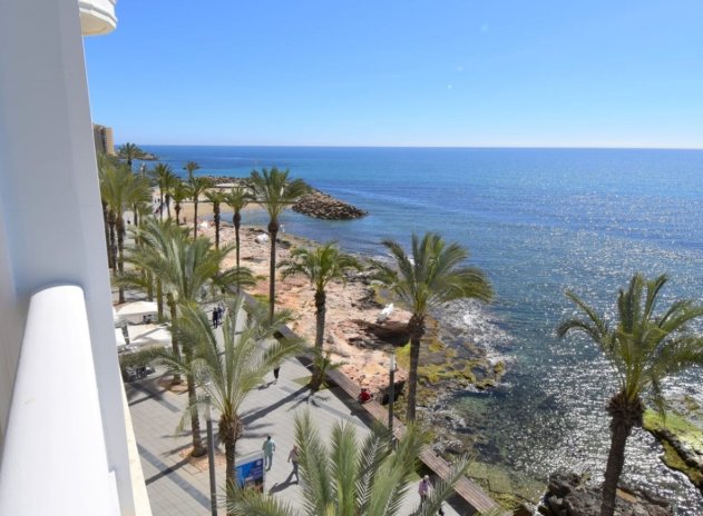 Appartement - Revente - Torrevieja - DSC-50995