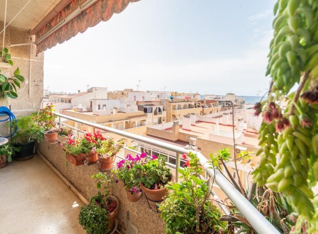 Appartement - Revente - Torrevieja - Torrevieja