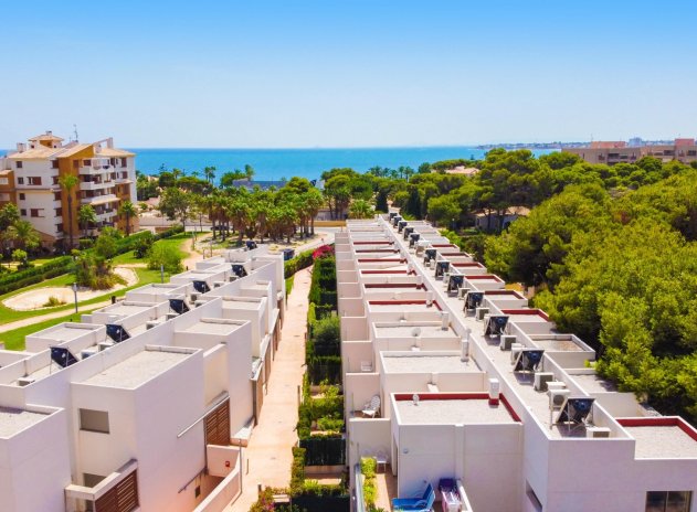 Casa adosada - Reventa - Punta Prima - DSC-93528
