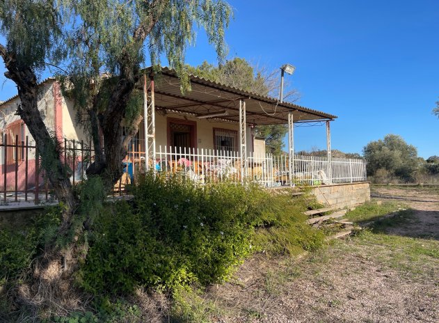 Finca / Casa Rural - Reventa - Aspe - Aspe