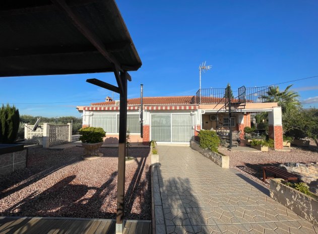 Finca / Casa Rural - Reventa - Crevillente - Crevillente