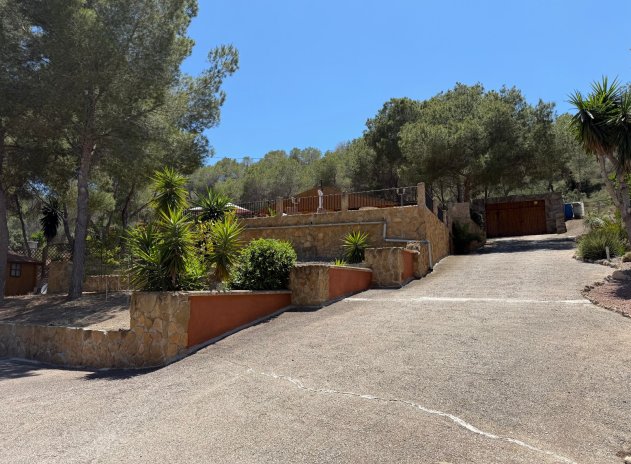 Finca / Casa Rural - Reventa - Orihuela - Torremendo