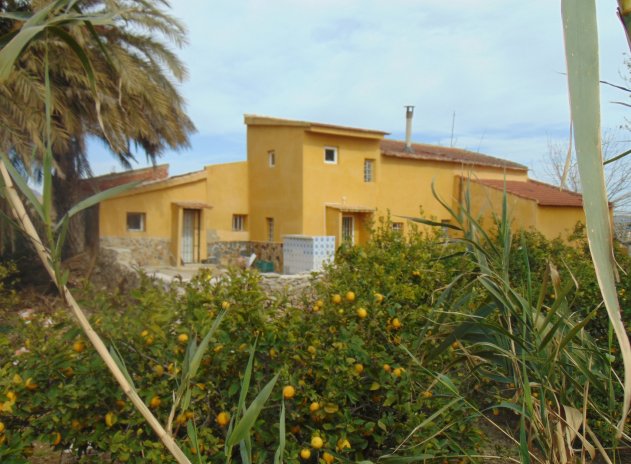 Finca / Country Property - Herverkoop - Orihuela - Orihuela