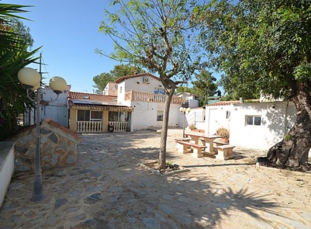 Finca / Country Property *  - Resale - Canadas de San Pedro - Canadas de San Pedro
