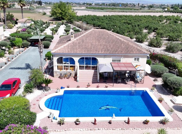 Finca / Country Property *  - Resale - Catral * - Catral *