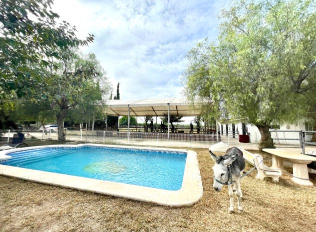 Finca / Ländliches Wohnhaus - Wiederverkauf - Orihuela - Orihuela