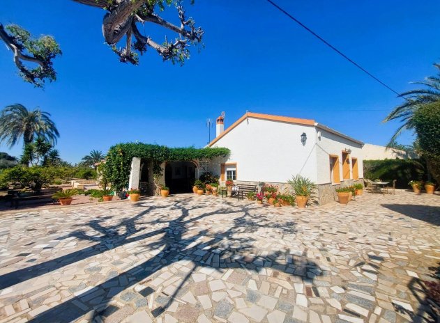 Finca / Maison Rurale - Revente - La Marina - La Marina