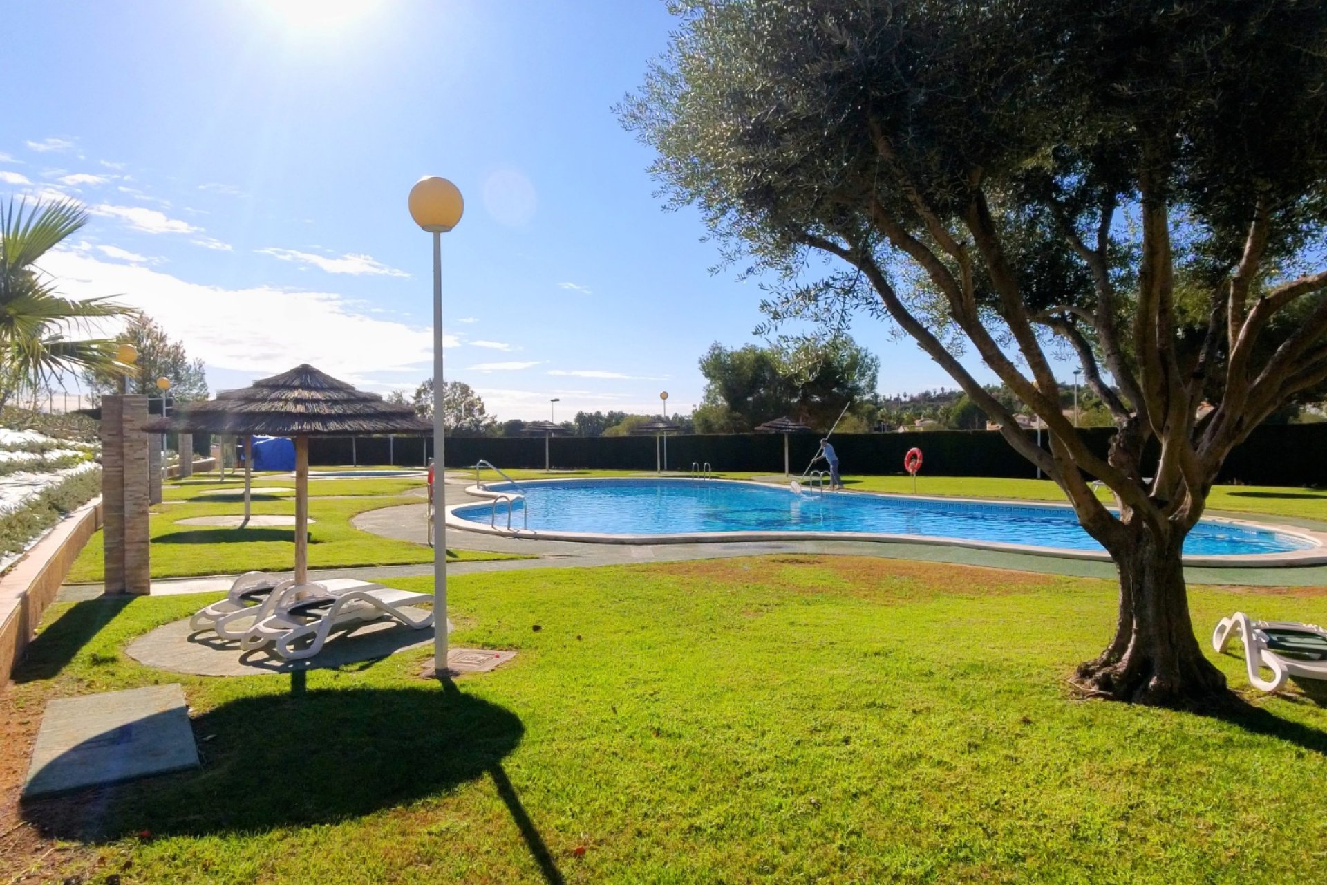 Herverkoop - Apartament / Duplex - Orihuela Costa - Playa Flamenca