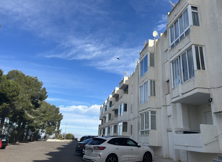 Herverkoop - Appartement - Ciudad Quesada