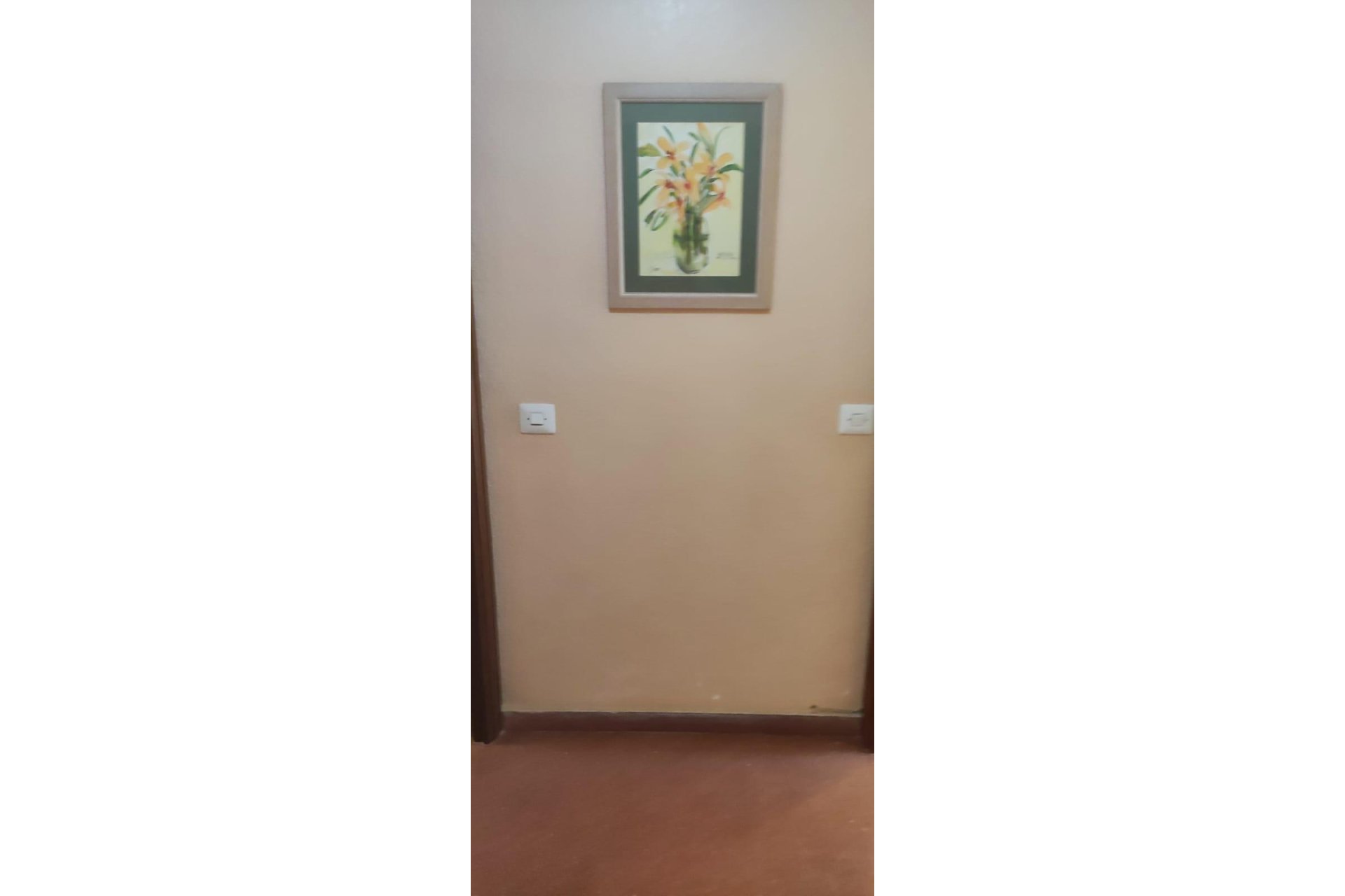 Herverkoop - Appartement / flat - Almoradi - ALMORADI-CENTRO