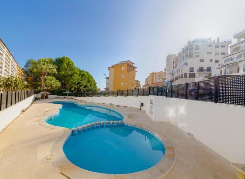 Herverkoop - Appartement / flat - Orihuela Costa - Altos de Campoamor