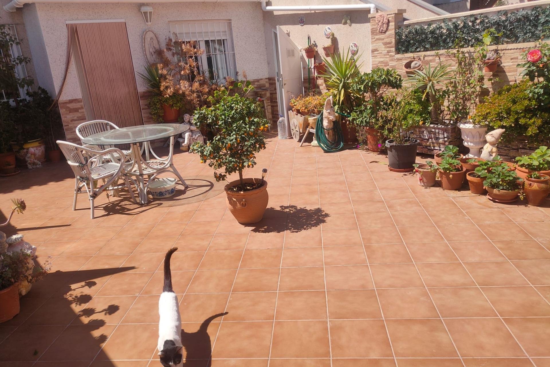 Herverkoop - Appartement / flat - Orihuela Costa - Campoamor