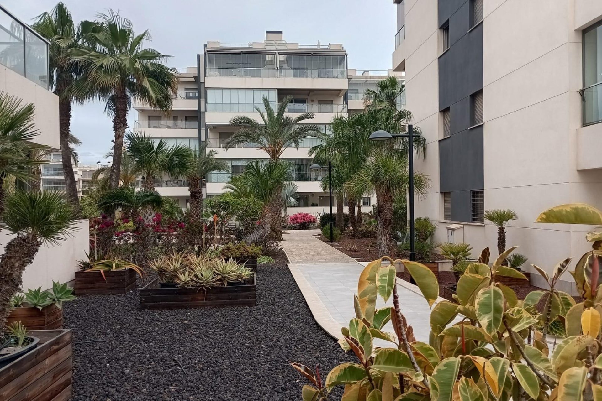 Herverkoop - Appartement / flat - Orihuela Costa - La Zenia