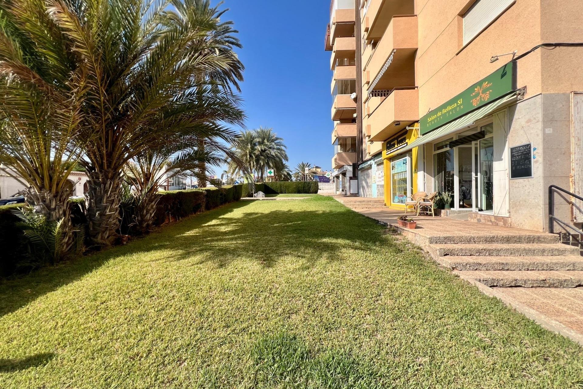 Herverkoop - Appartement / flat - Orihuela Costa - La Zenia