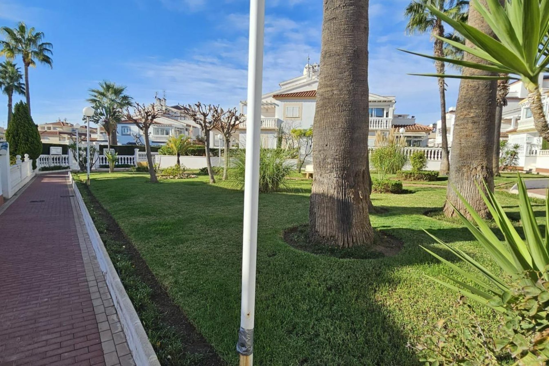 Herverkoop - Appartement / flat - Orihuela Costa - Punta Prima