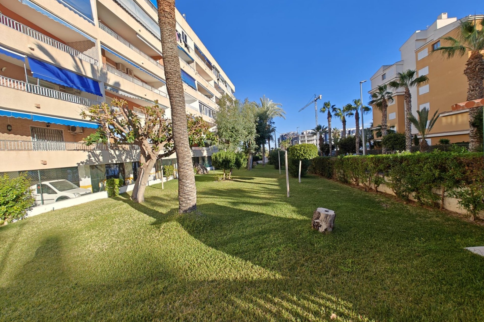 Herverkoop - Appartement / flat - Orihuela Costa - Punta Prima