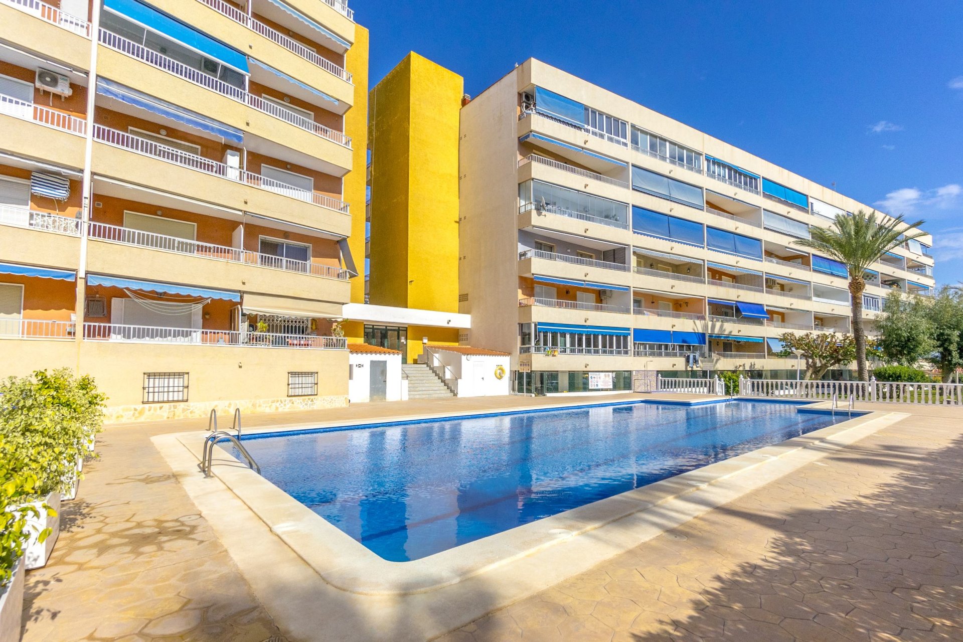 Herverkoop - Appartement / flat - Punta Prima - El Acequión