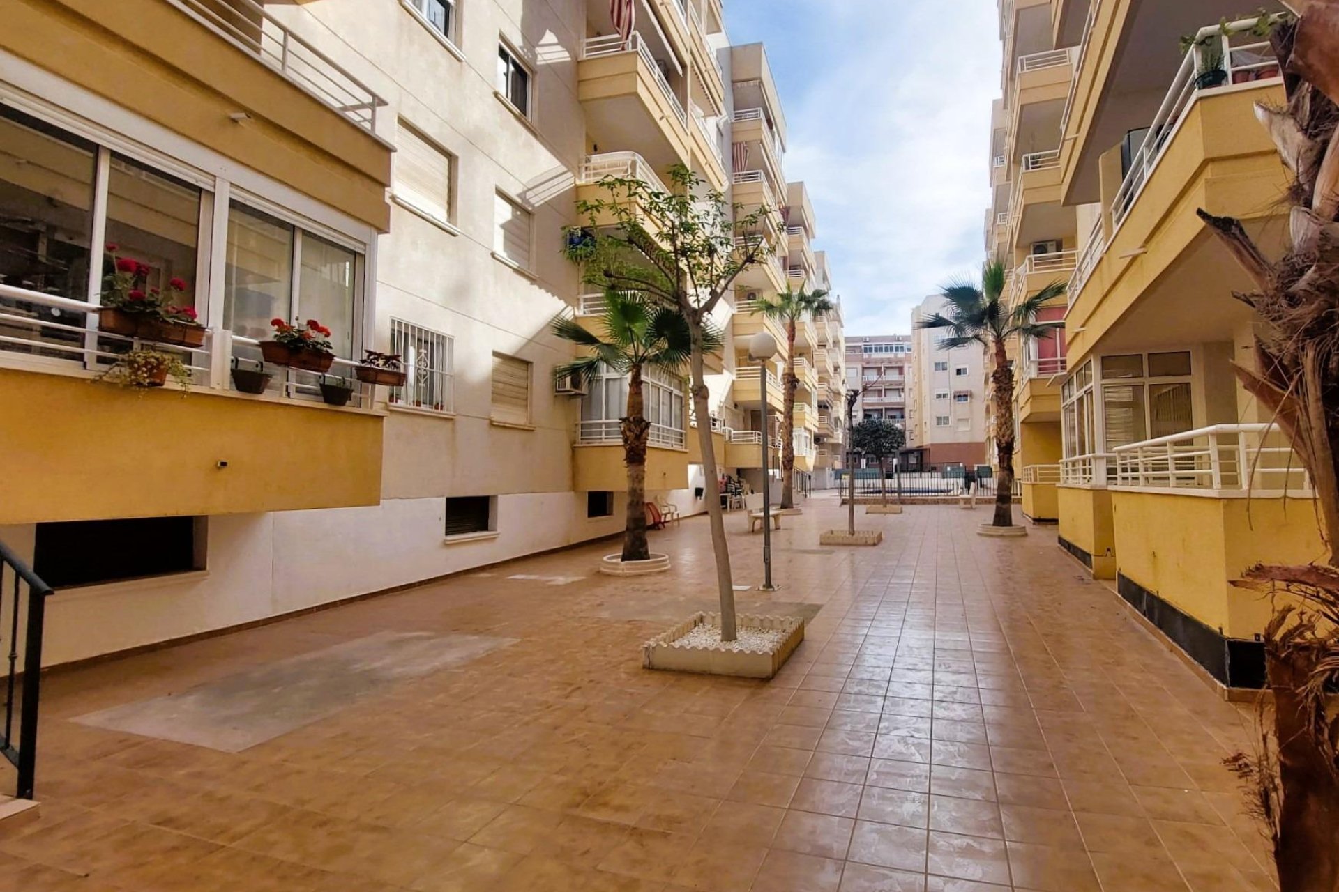 Herverkoop - Appartement / flat - Torrevieja - Center