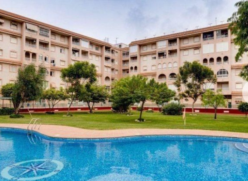 Herverkoop - Appartement / flat - Torrevieja - Center