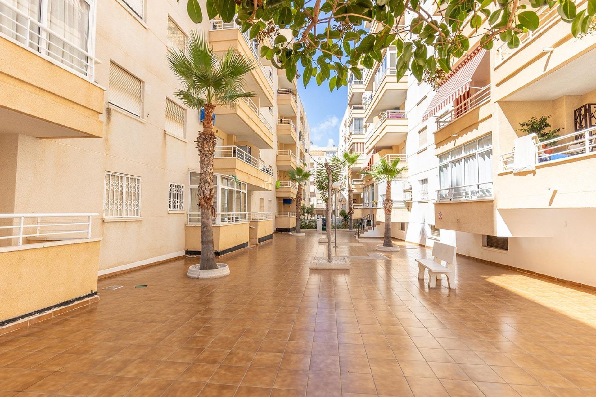 Herverkoop - Appartement / flat - Torrevieja - Estacion de autobuses