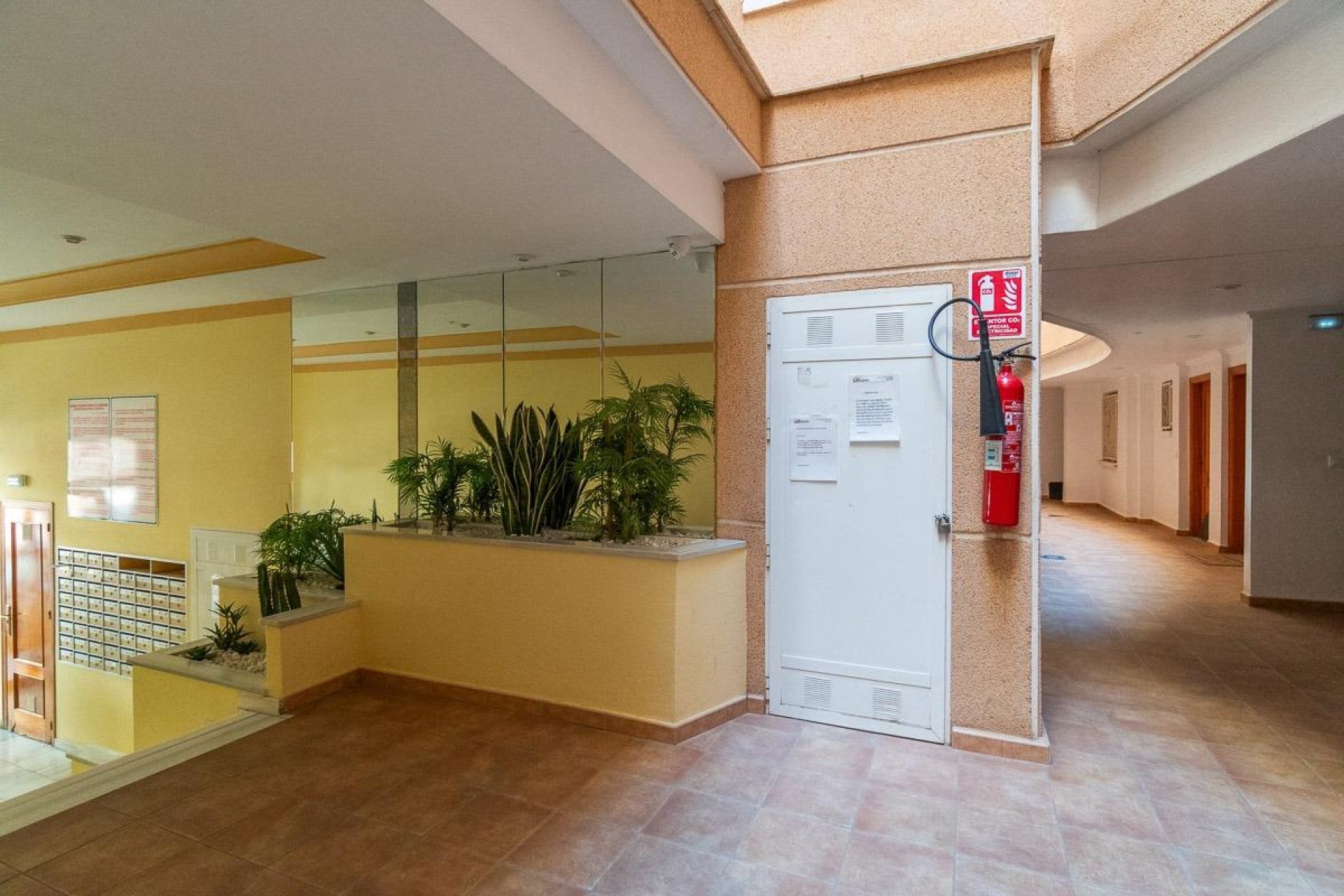 Herverkoop - Appartement / flat - Torrevieja - Estacion de autobuses