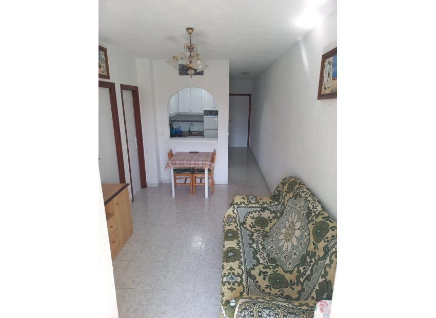 Herverkoop - Appartement / flat - Torrevieja - Estacion de autobuses