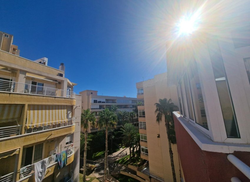 Herverkoop - Appartement / flat - Torrevieja - Habaneras