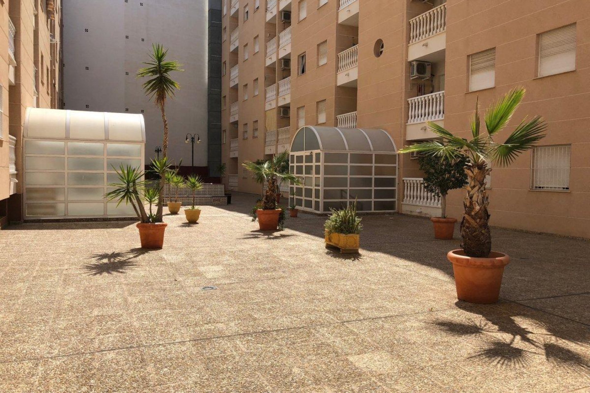 Herverkoop - Appartement / flat - Torrevieja - Playa del Cura