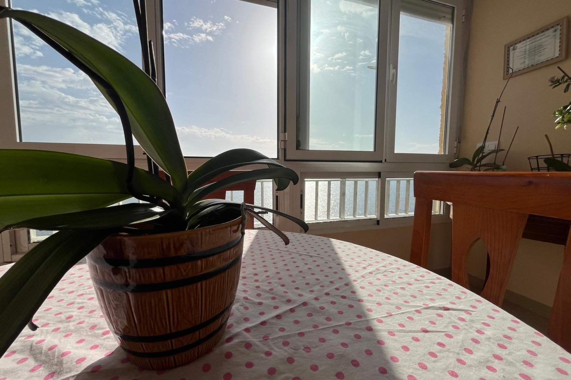 Herverkoop - Appartement / flat - Torrevieja - Playa del Cura